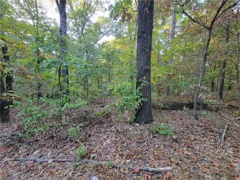Cockerham Lane, Bella Vista, AR 72714