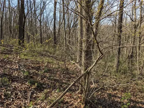 tbd Morley Dr, Bella Vista, AR 72714