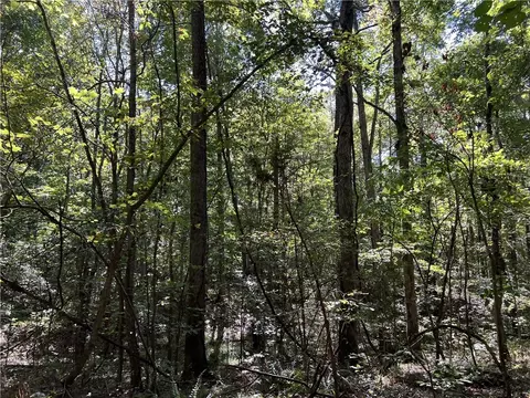 Meadow Creek Drive, Harrison, AR 72601