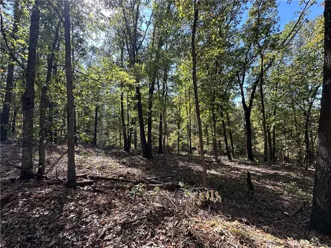 Braig Lane, Bella Vista, AR 72715