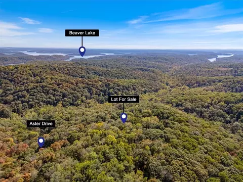 lot261 Aster Dr, Rogers, AR 72756