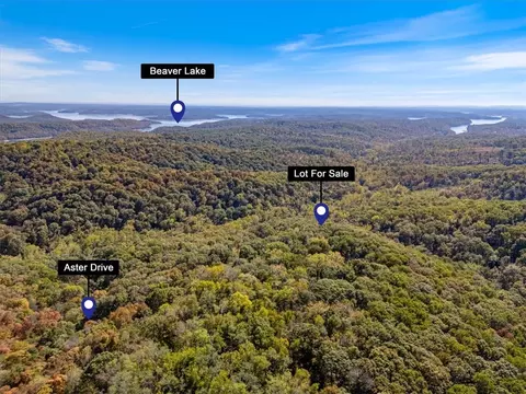 lot264 Aster Dr, Rogers, AR 72756
