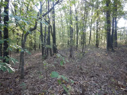 tbd Tract 2 Old 60 Dr, Seneca, MO 64865 photo 16