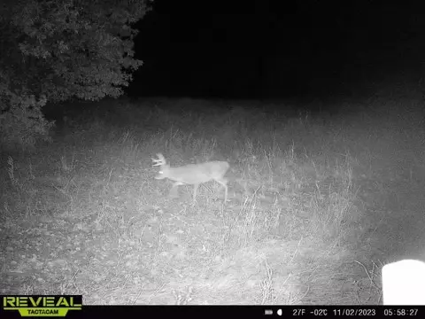 tbd Tract 2 Old 60 Dr, Seneca, MO 64865 photo 29