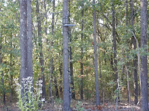 tbd Tract 2 Old 60 Dr, Seneca, MO 64865 photo 19