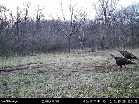 tbd Tract 2 Old 60 Dr, Seneca, MO 64865 photo 25
