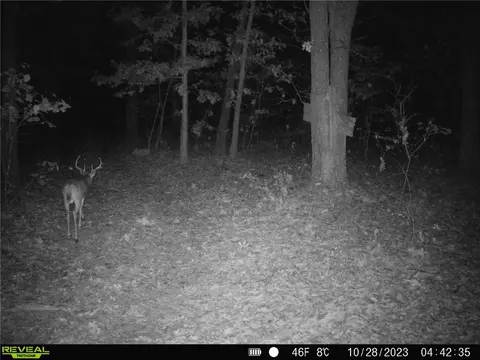 tbd Tract 2 Old 60 Dr, Seneca, MO 64865 photo 37