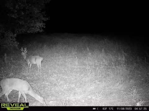 tbd Tract 2 Old 60 Dr, Seneca, MO 64865 photo 34