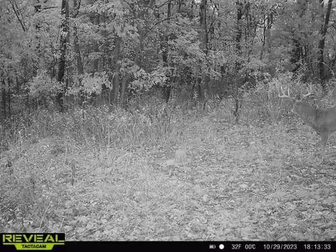 tbd Tract 2 Old 60 Dr, Seneca, MO 64865 photo 27