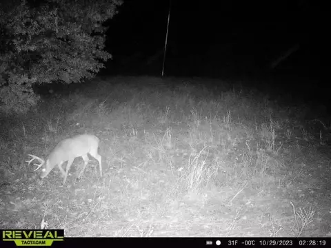 tbd Tract 2 Old 60 Dr, Seneca, MO 64865 photo 33