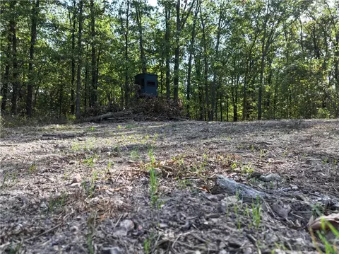 tbd Tract 2 Old 60 Dr, Seneca, MO 64865 photo 5
