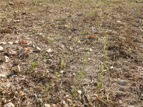 tbd Tract 2 Old 60 Dr, Seneca, MO 64865 photo 22