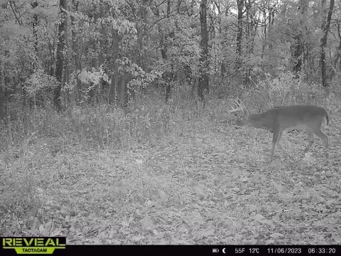 tbd Tract 2 Old 60 Dr, Seneca, MO 64865 photo 28