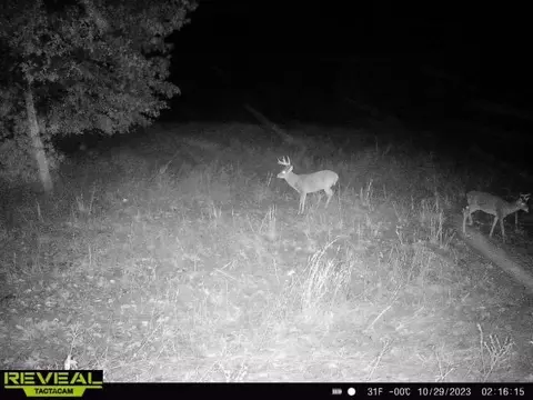 tbd Tract 2 Old 60 Dr, Seneca, MO 64865 photo 32