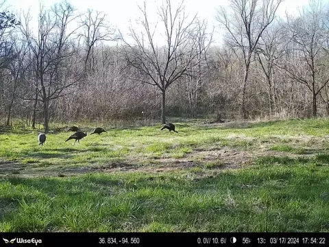 tbd Tract 2 Old 60 Dr, Seneca, MO 64865 photo 23