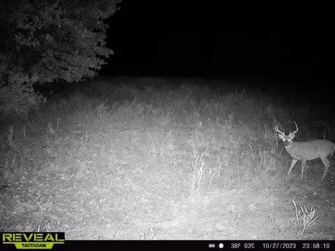 tbd Tract 2 Old 60 Dr, Seneca, MO 64865 photo 36