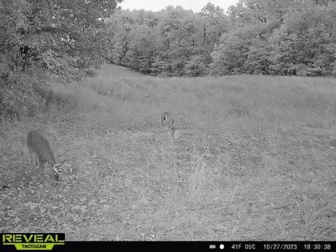 tbd Tract 2 Old 60 Dr, Seneca, MO 64865 photo 35