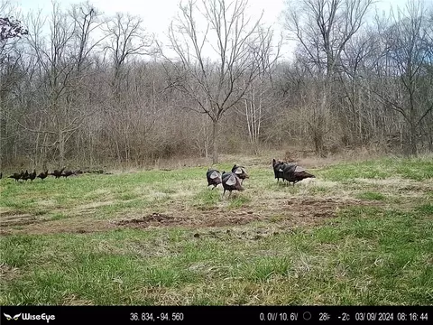 tbd Tract 2 Old 60 Dr, Seneca, MO 64865 photo 26