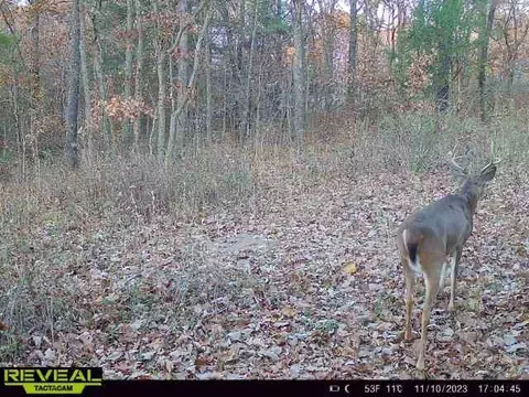 tbd Tract 2 Old 60 Dr, Seneca, MO 64865 photo 31