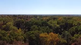 Plumpton Lane, Bella Vista, AR 72714