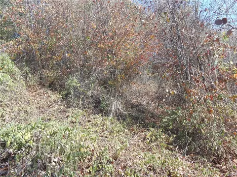 Madison Co Rd 4275 Road, Combs, AR 72740