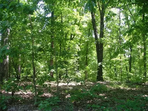 Cheshnut Drive, Bella Vista, AR 72714