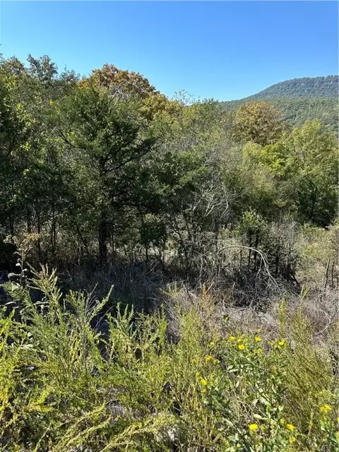tbd Erbie, Marble Falls, AR 78654
