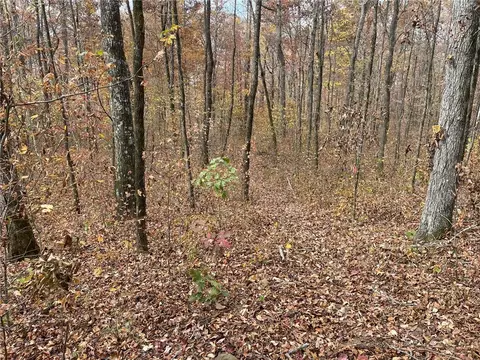 000 Madison 4275, Combs, AR 72727 photo 9