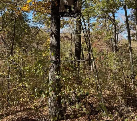 000 Madison 4275, Combs, AR 72727 photo 11
