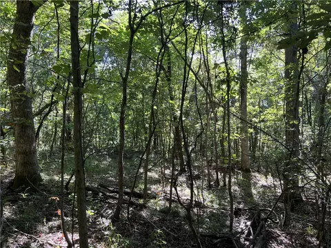Crumpler Cemetery Drive, Harrison, AR 72601