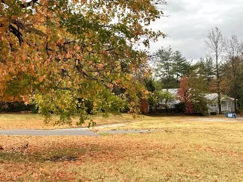 Bower Avenue, Harrison, AR 72601 photo 3