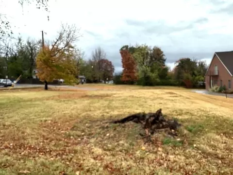 Bower Avenue, Harrison, AR 72601 photo 5