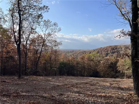 11 00 Ac Jackson Rdg, Omaha, AR 72662 photo 4