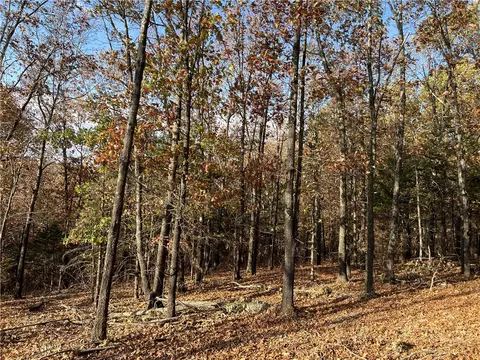 11 00 Ac Jackson Rdg, Omaha, AR 72662 photo 6