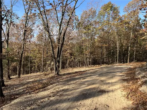 11 00 Ac Jackson Rdg, Omaha, AR 72662 photo 5