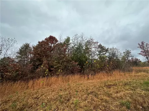 Hardeman Lane, Rogers, AR 72756 photo 6