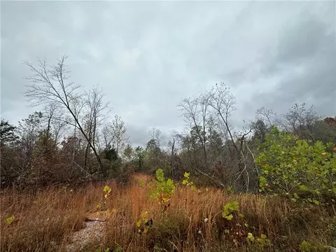 Hardeman Lane, Rogers, AR 72756 photo 7