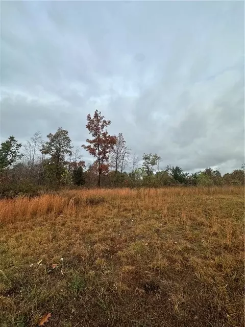 Hardeman Lane, Rogers, AR 72756 photo 2