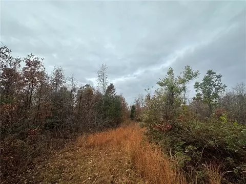 Hardeman Lane, Rogers, AR 72756