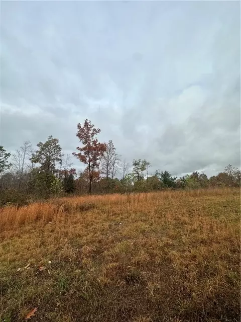 Hardeman Lane, Rogers, AR 72756 photo 3