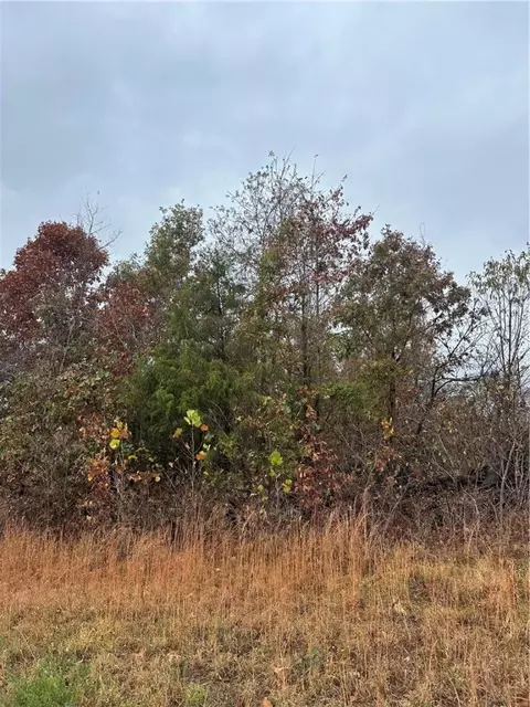 Hardeman Lane, Rogers, AR 72756 photo 5