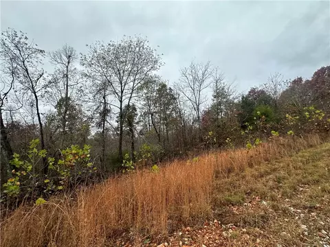 Hardeman Lane, Rogers, AR 72756 photo 8
