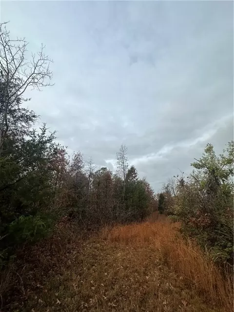 Hardeman Lane, Rogers, AR 72756 photo 4