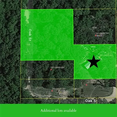 18655 N Elm St, Lead Hill, AR 72644 photo 24