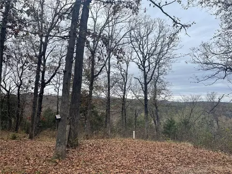 18655 N Elm St, Lead Hill, AR 72644 photo 4