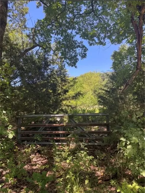 Vineyard Road, Canehill, AR 72717