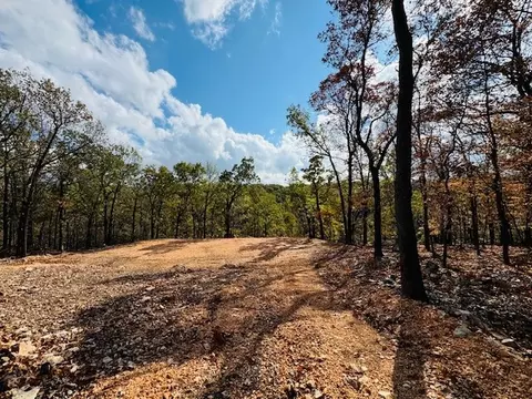 E 328 Road, Jay, OK 74346 photo 3