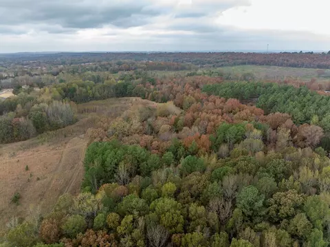 Elliot Road, Other, AR 72058 photo 6