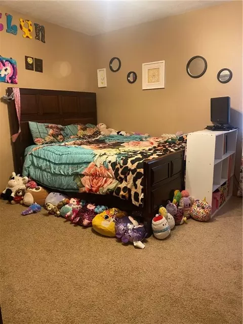 Bedroom - 665 Nc 8807, Jasper, AR 72641 photo 4 of 4
