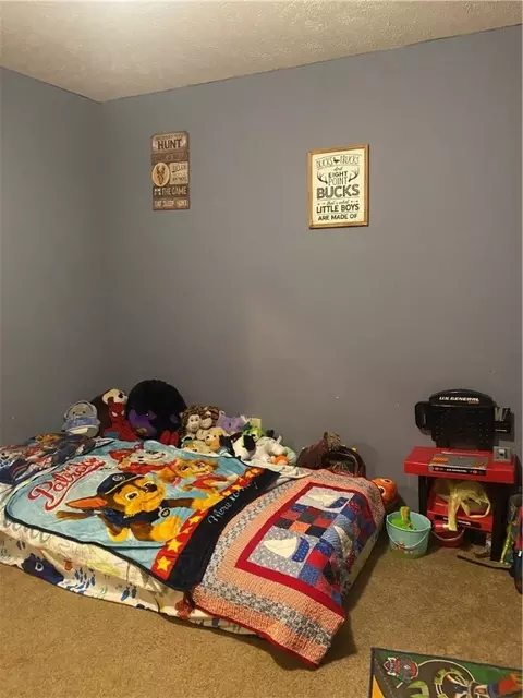 Bedroom - 665 Nc 8807, Jasper, AR 72641 photo 3 of 4